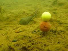 Rob Hughes: Moje oblíbené montáže Rob Hughes: Moje oblíbené montáže