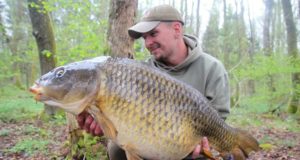 Výprava na Labutí jezero