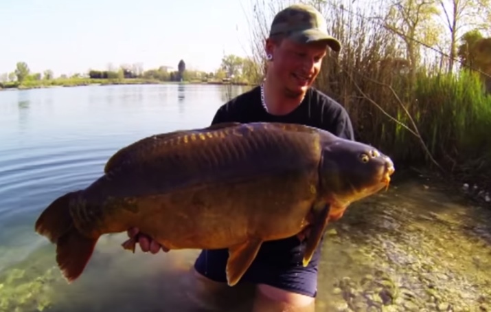 Video: Jezerní lov kaprů metodou Zig Rig