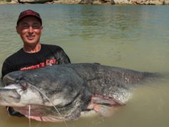 Ebro ala Monster Cat Ebro ala Monster Cat