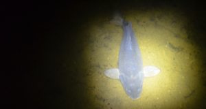 Věř si a ono to přijde!