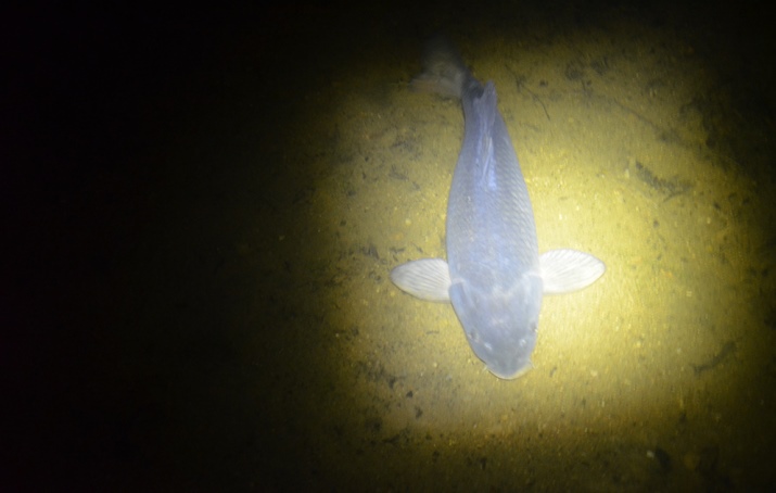 Věř si a ono to přijde!