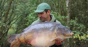 Nejen procházka parkem aneb ryby z Welly se nepočítají?