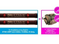 AKCE: 2x Delphin ETNA Cork + Delpin Smart CARRYALL AKCE: 2x Delphin ETNA Cork + Delpin Smart CARRYALL