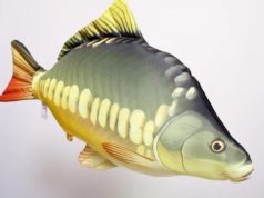 Gaby polštář kapr obecný – 65 cm Gaby polštář kapr obecný - 65 cm