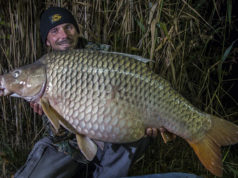 Prodloužená sezóna (2. díl)