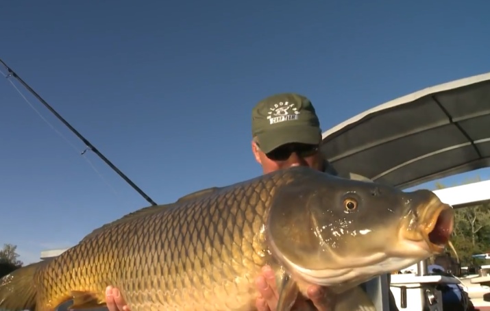 Video: Lov kaprů z člunu na řece Connecticut