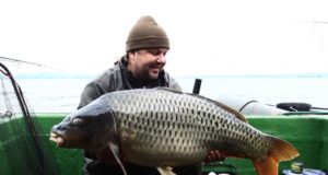 Video: Pálavská jezera - Lov kaprů - 3 x 20 kg +