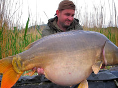 Před mikrofonem: Tamás Csörgö