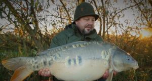 Video: Lac du Der - Jet Fish
