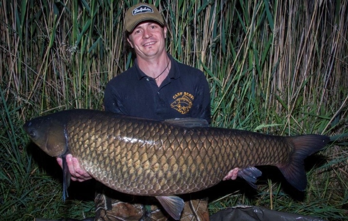 Ve správný čas na správném místě