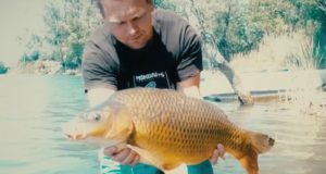 Video: Lov kaprů na českých vodách (8. díl)