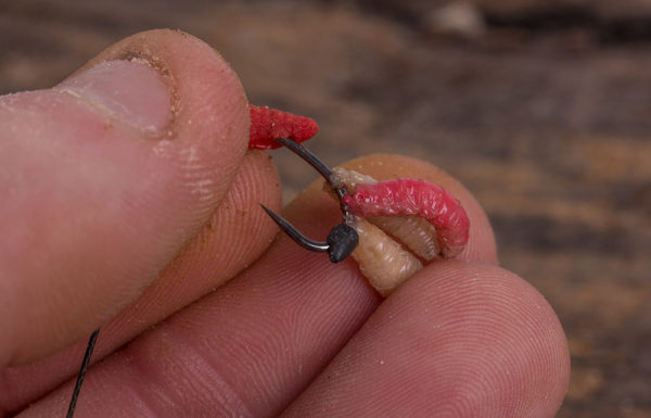 TIP: Pro místa, kde se smí lovit pouze s háčky bez protihrotu, navlékněte malou zarážku Clinger stop za červy opatrně nastražené na háček, a zajistěte je tak a zároveň zamaskujte hrot. 