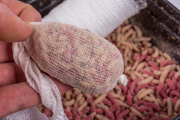 2. Do plnící trubice Webcast Ultra Weave PCA nasypte hrst červů a jemně stlačte pěchovátkem a vytvarujte z nich váleček červů. 