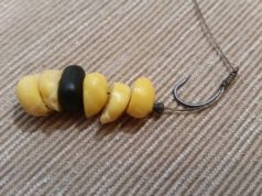 Jde to i bez boilies (1. díl) Jde to i bez boilies