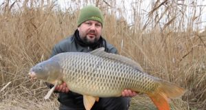 Video: Lov kaprů - zima