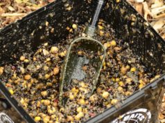 Jde to i bez boilies (2. díl)