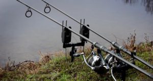 Video: Carpstyle - Start of something new