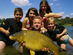 Pelety versus boilies