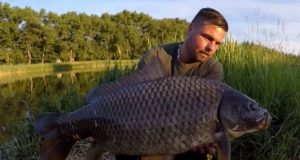 Video: Po stopách kaprů - Nitra Urban Fishing (2. díl)