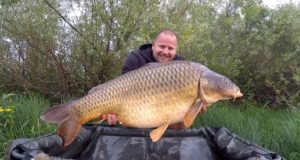 Zemplínska Šírava 2017 "kolotočár" style Carpfishing Starbaits & Carpstyle