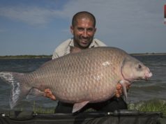 Nová serie: Obrovští kapři na VIASAT EXPLORE