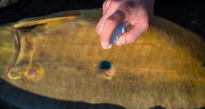 10 najčastejších chýb pri starostlivosti o úlovok