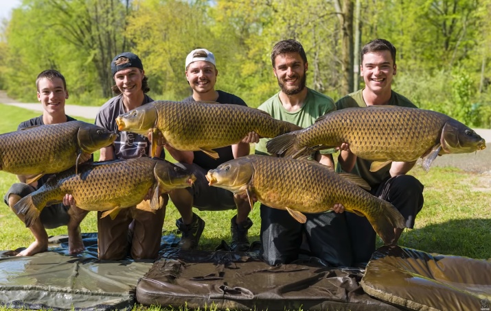 Video: Kaprařina v USA s Carlem a Alexem (NASH TV)
