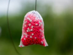 Ako na solídny PVA / solid bag nahled