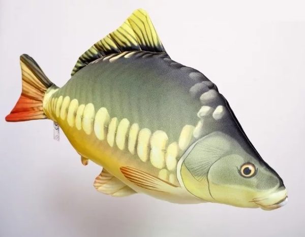 Polštář Kapr obecný - 65 cm