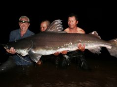 Jaká říční monstra můžete ulovit v Jižní Americe?