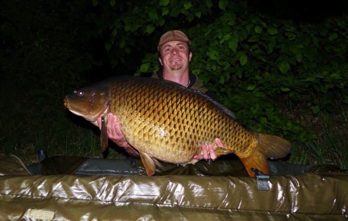 Svazový hattrick (1. díl)