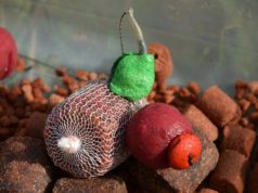 Víkendové rybačky a faktory úspechu (3. diel)