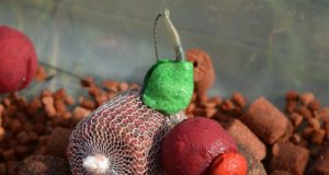 Víkendové rybačky a faktory úspechu (3. diel)