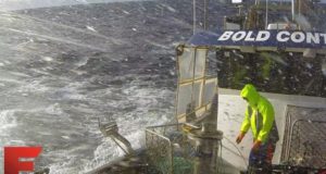 Australští lovci humrů