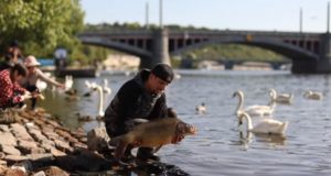 Video: STREET HUNTER – Fishing in Prague (2. část)