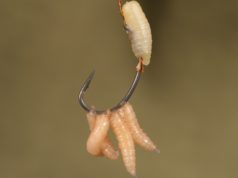 Návazec The Ultimate Maggot Rig