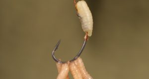 Návazec The Ultimate Maggot Rig