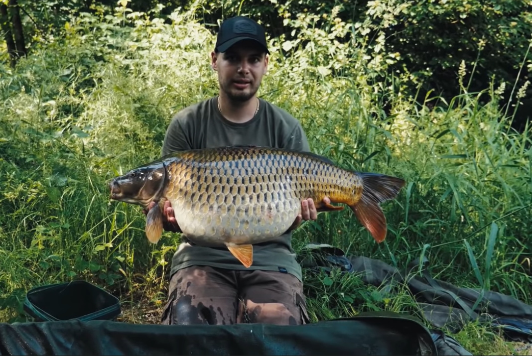 Video: Carp Time 2019/3
