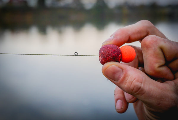 4. Kroužek připevníme přibližně 5mm nad boilie za pomoci jednoduchého uzlu