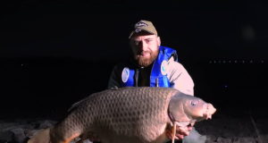 Video: Lov kapra na slovenských vodách