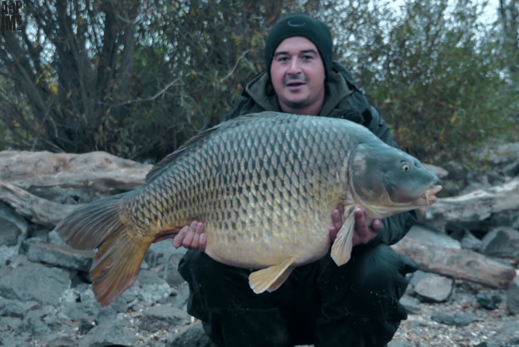 Video: Carp Time 2019/4