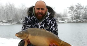 Video: Lov kapra v zimě