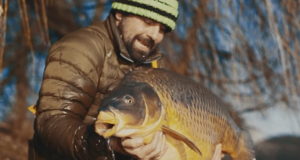 Video: Prosincový lov kapra