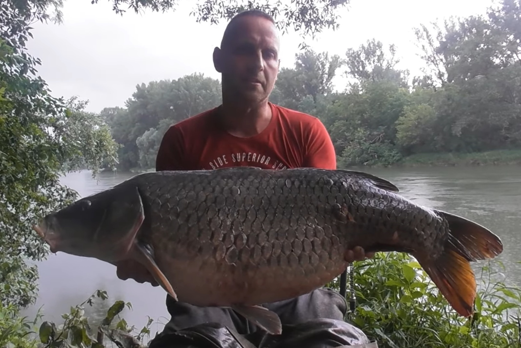 Video: Lov kaprů na řece Váh 2019 (Michal Celestin)