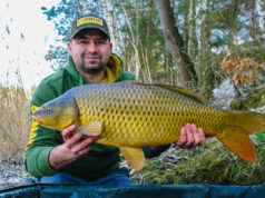 Krátkodobý lov aneb rychle a atraktivně (2. díl)