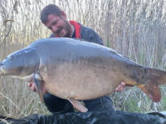 Nový český rekord kapra ze svazovky! Gigantický lysec vážil 34,5 kg!