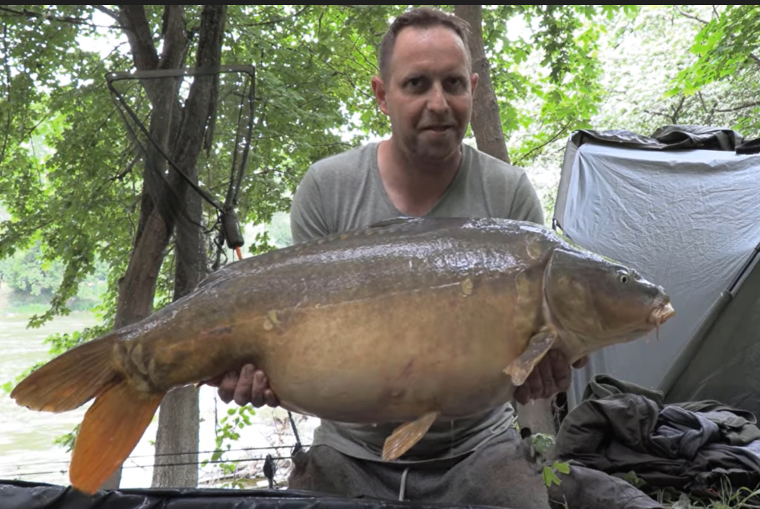 Video: Lov kaprů na řece Váh 2020 (Michal Celestin)