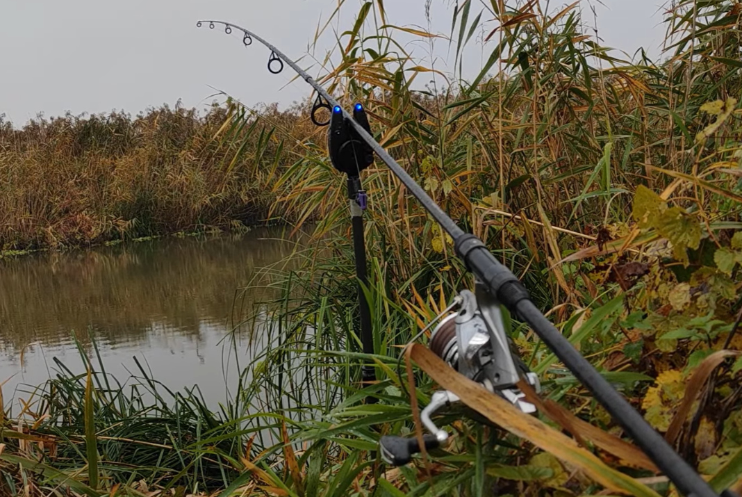 Video: Kapři z malé řeky - podzim 2020