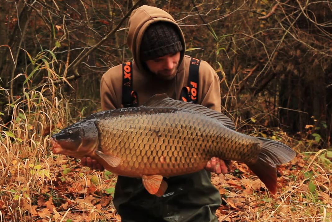 Video: Lov kaprů na malé řece 2